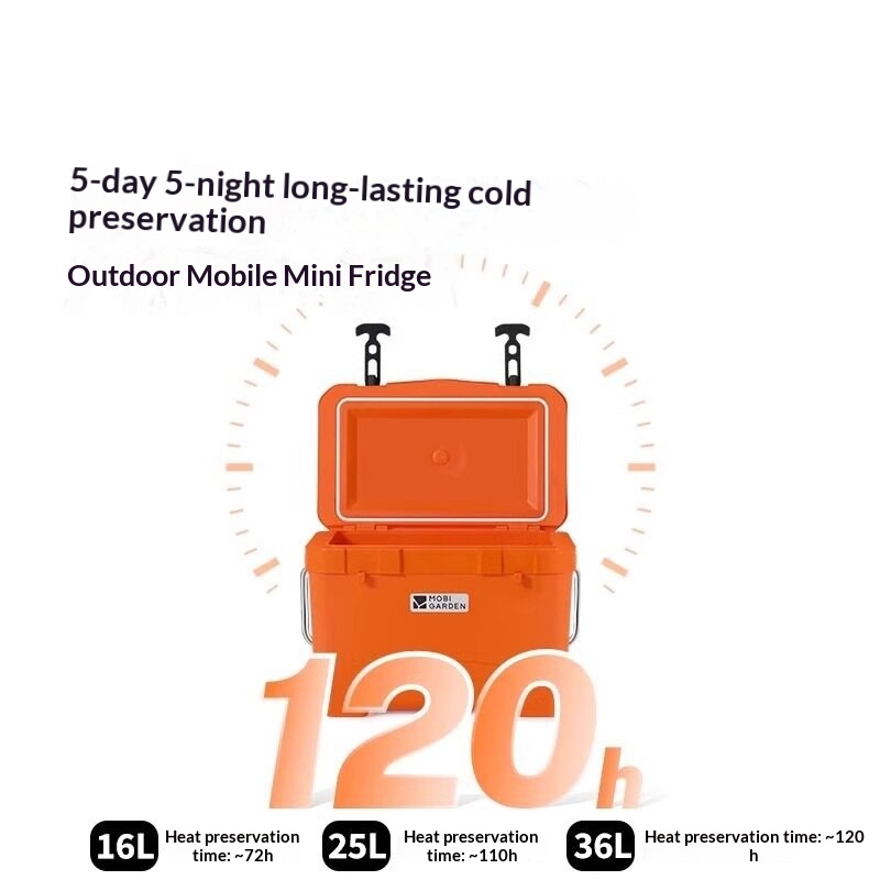Portable 40L Compressor Car Re - Camping Quiet บทวิจารณ์และราคา