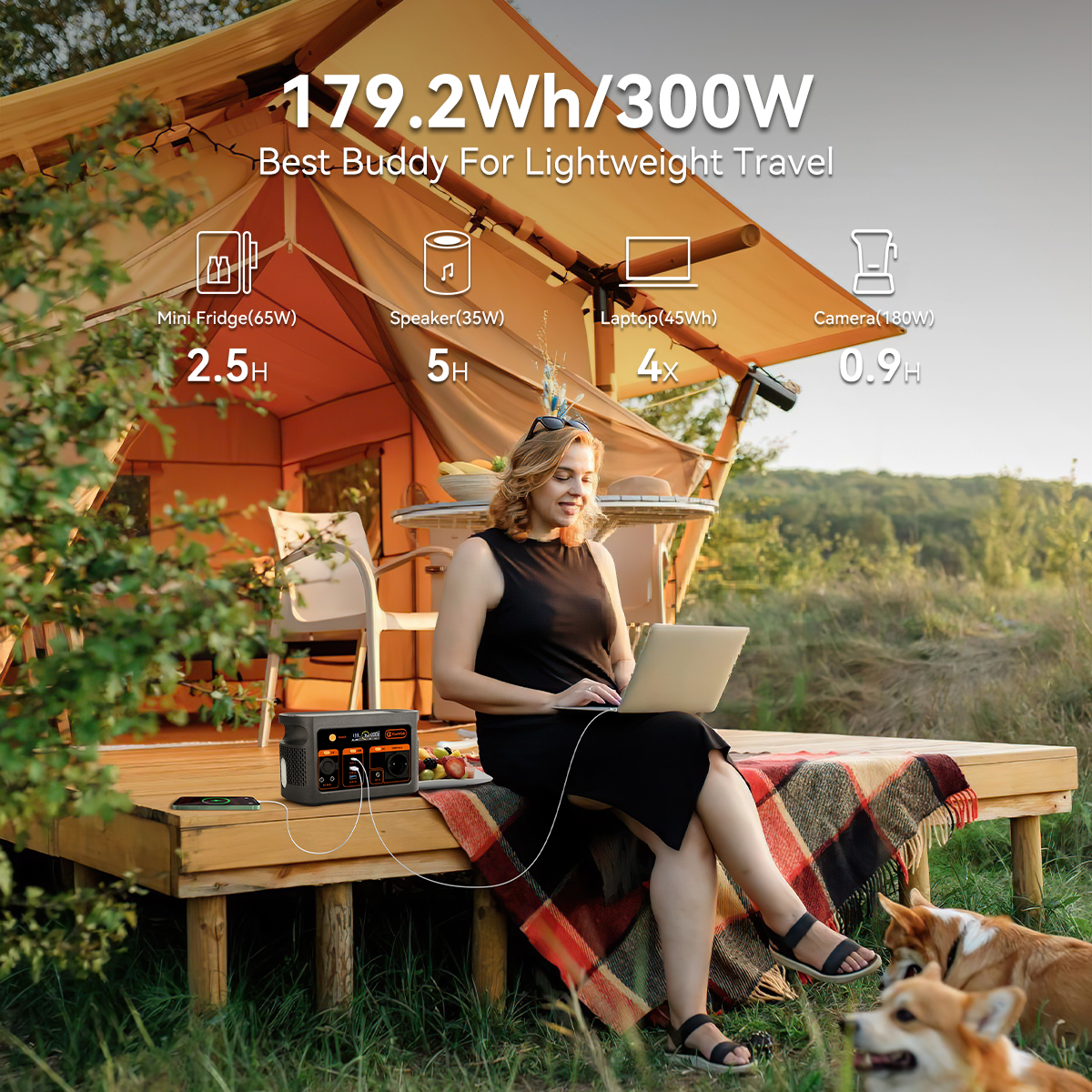 300W pure sine wave solar gene - Portable Power Station บทวิจารณ์และราคา
