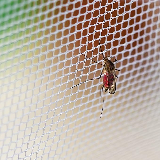 Tent Accessories Diy Mosquito  - Outdoor Camping Bug Zapper บทวิจารณ์และราคา
